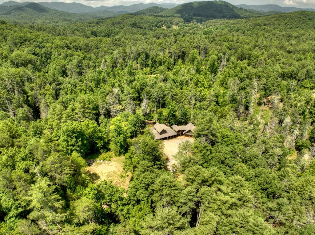 413209 Blue Ridge Residential