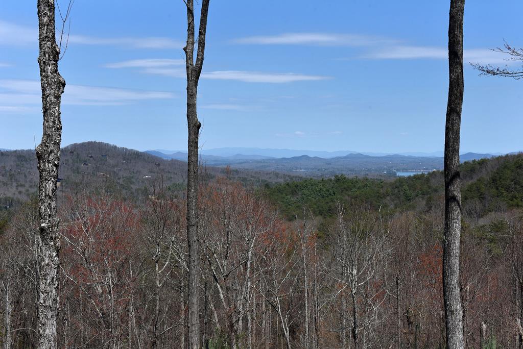 413260 Blue Ridge Residential
