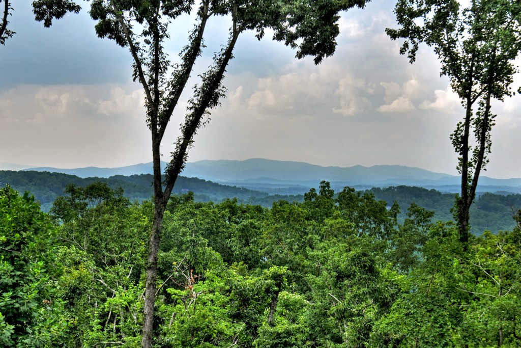 413271 Blue Ridge Residential
