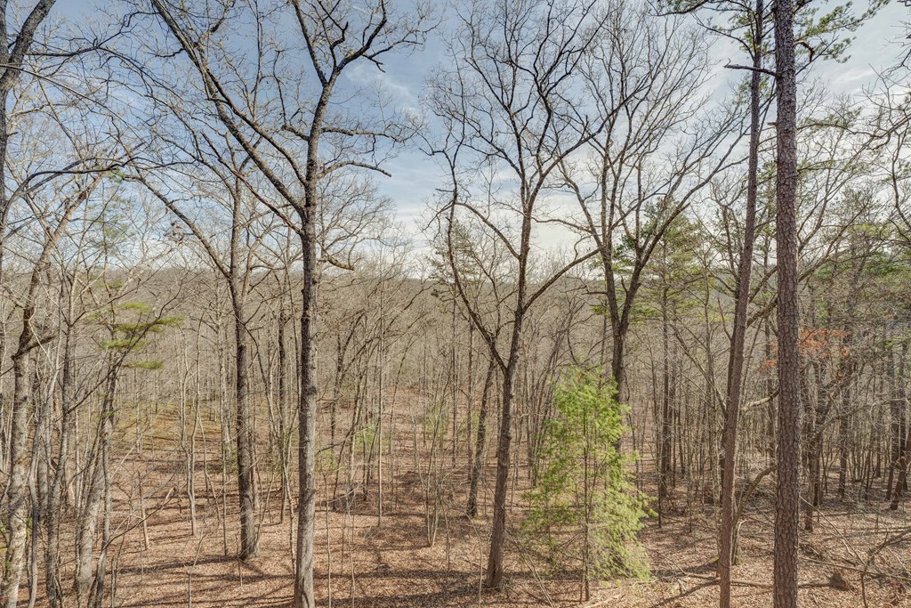 413273 Mineral Bluff Residential