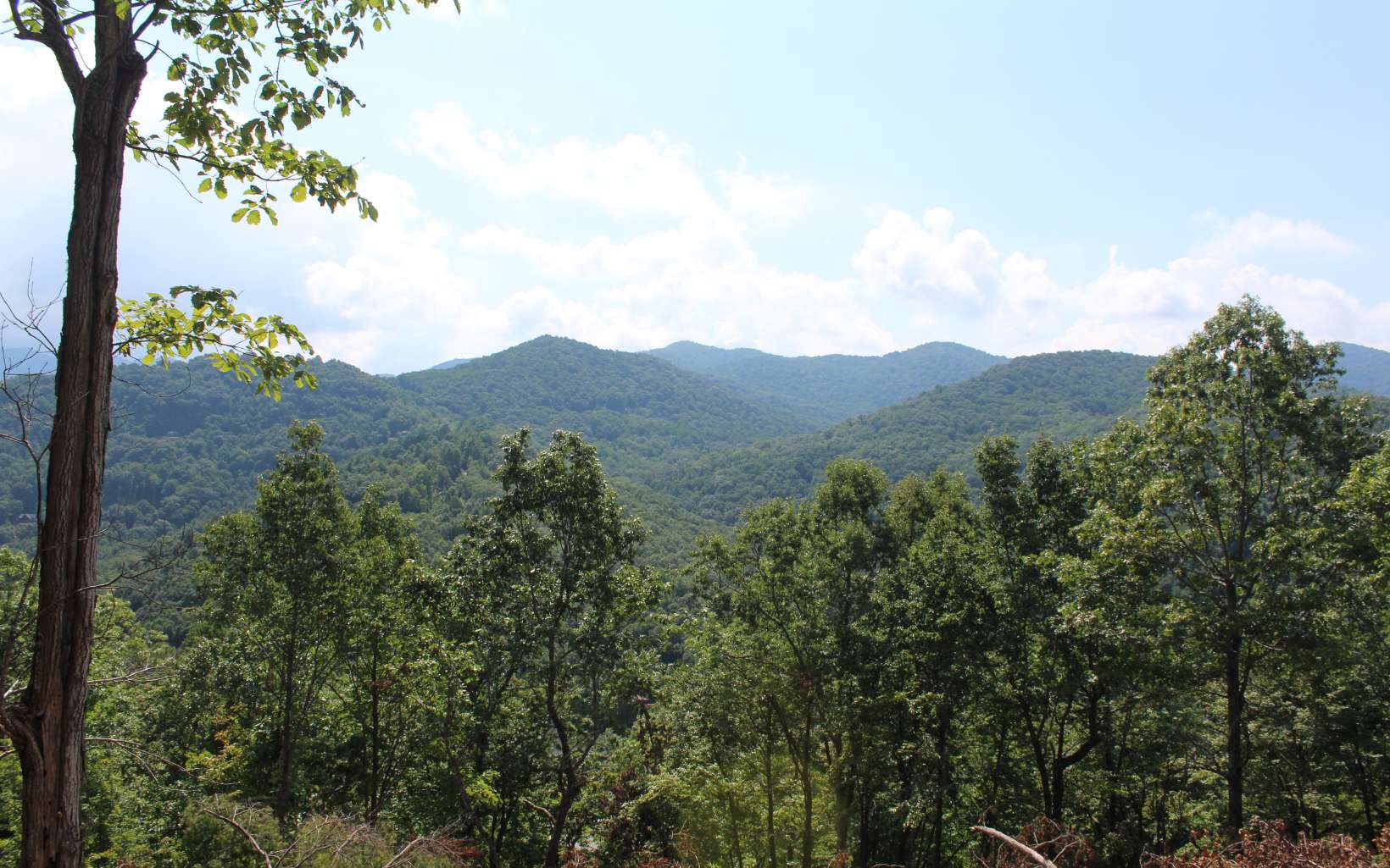 413352 Hayesville Land
