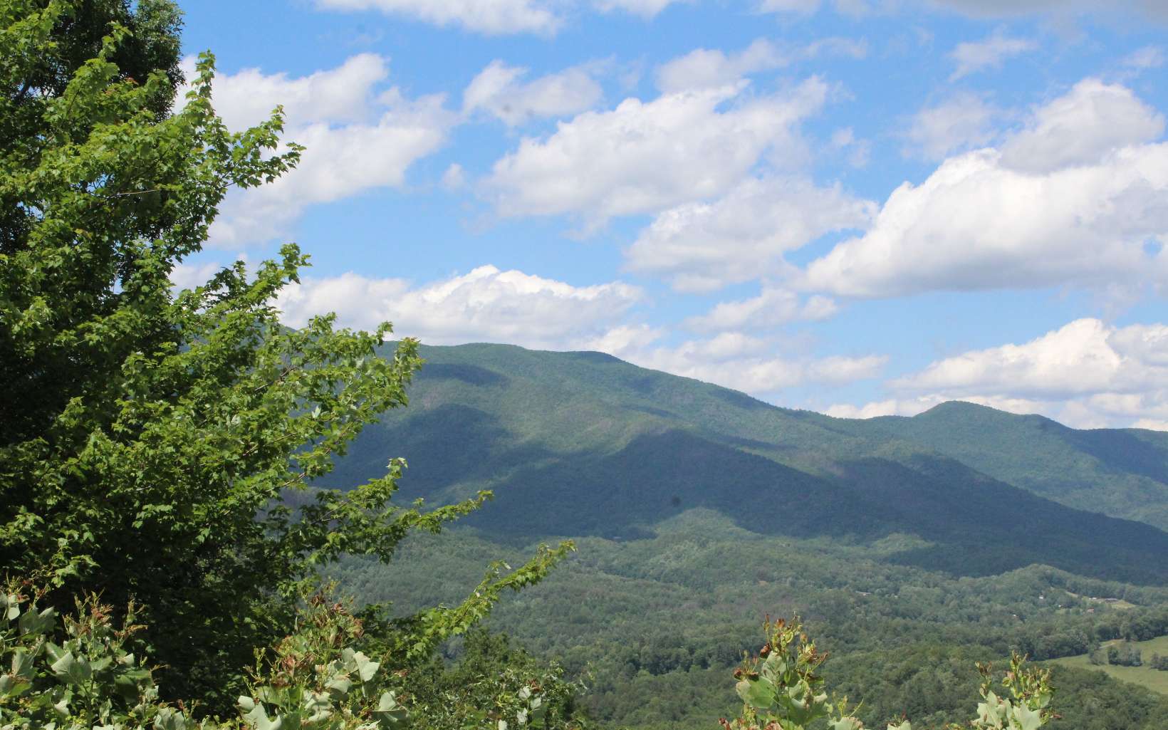 413352 Hayesville Land