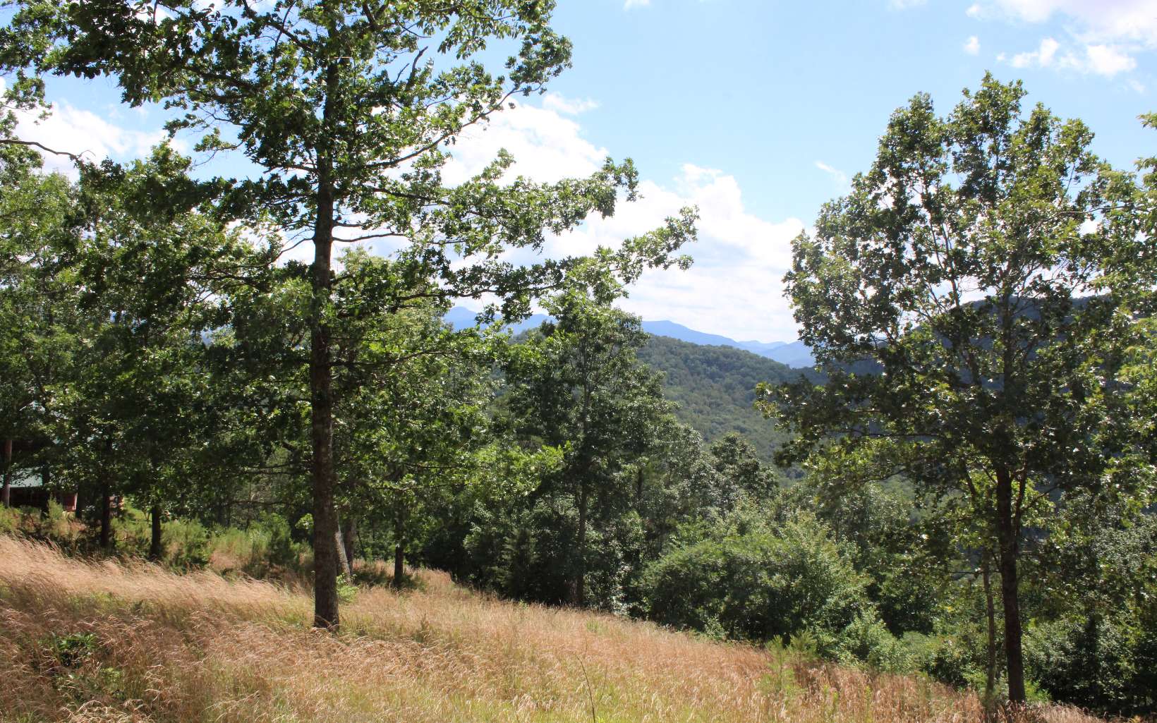 413357 Hayesville Land