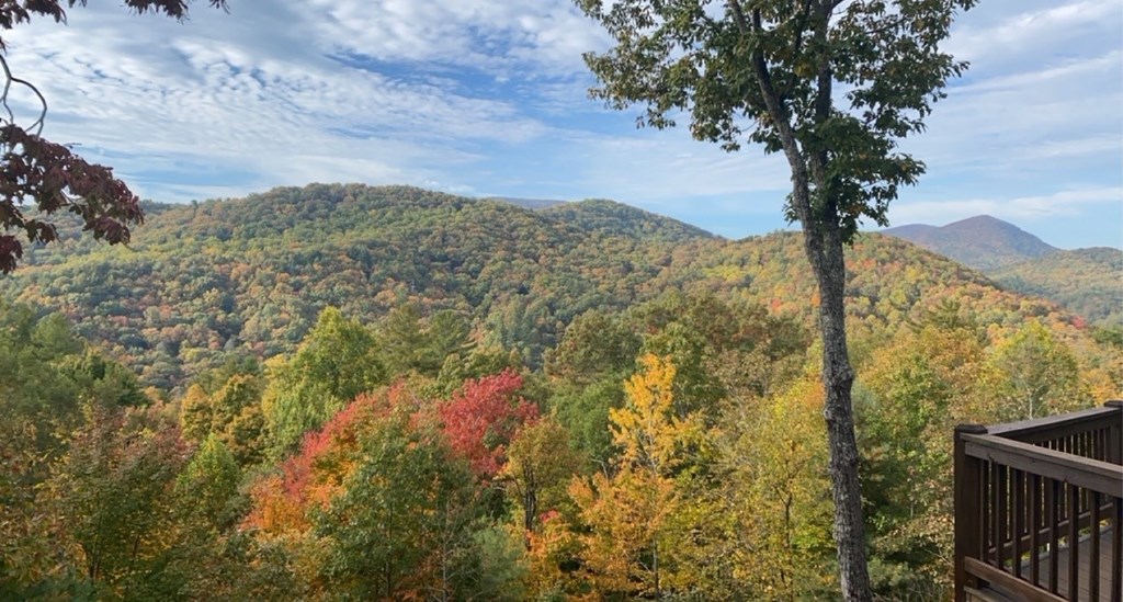 413398 Blue Ridge Residential