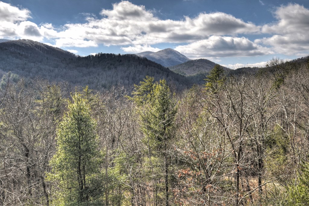 413398 Blue Ridge Residential