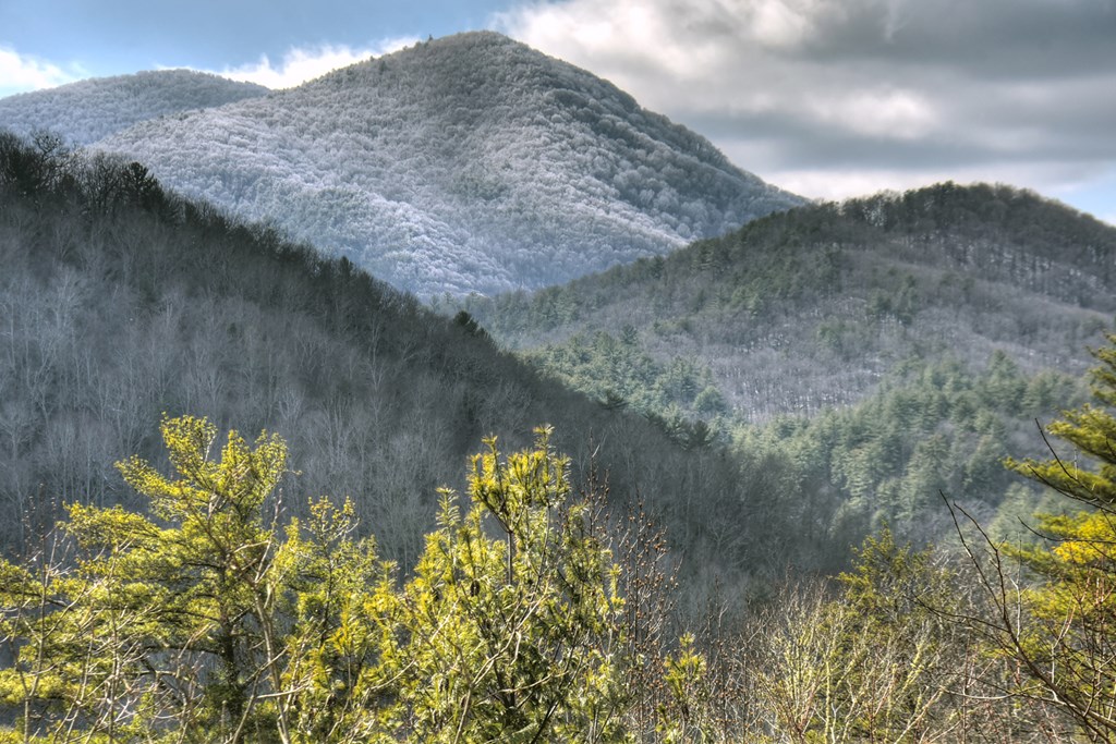 413398 Blue Ridge Residential