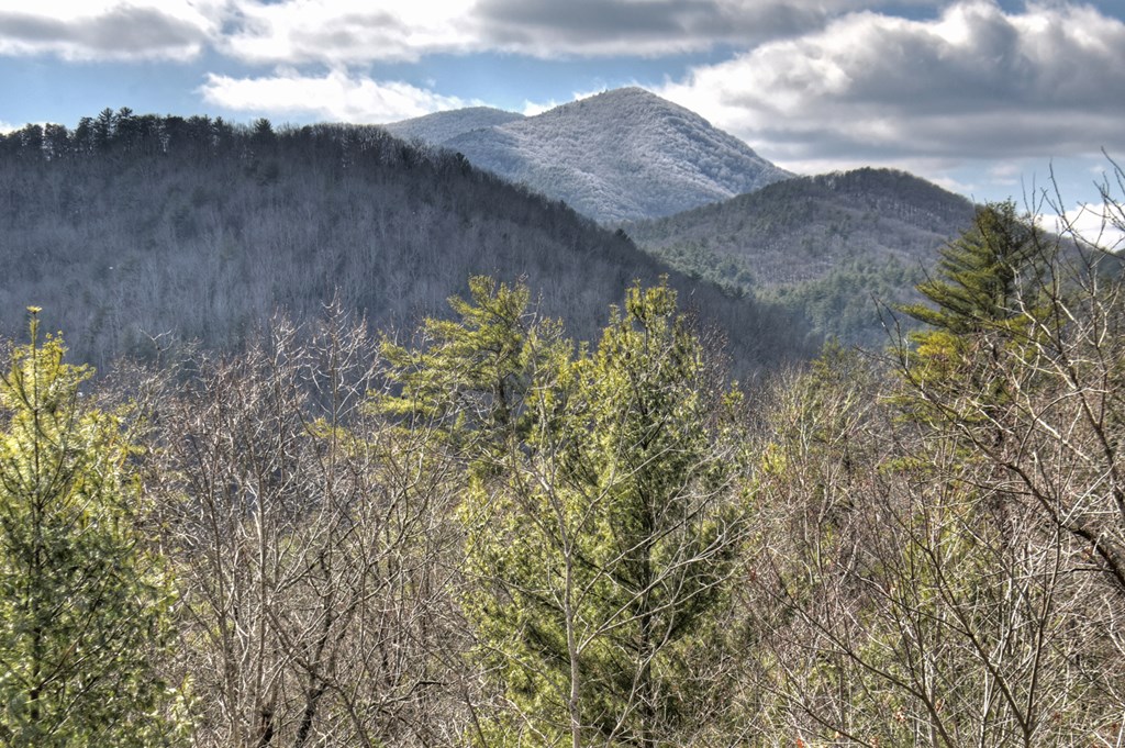 413398 Blue Ridge Residential