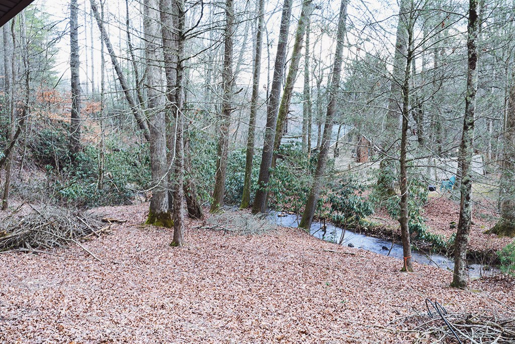 413538 Blue Ridge Residential