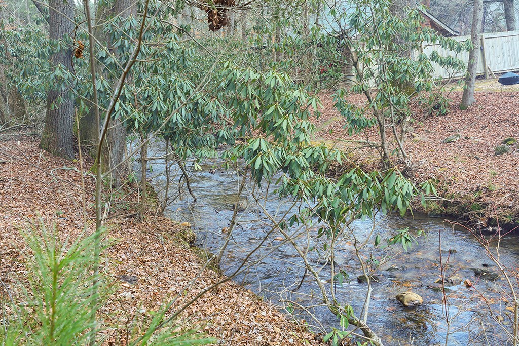 413538 Blue Ridge Residential