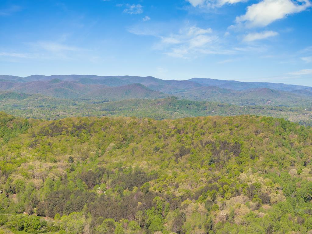413623 Blue Ridge Residential
