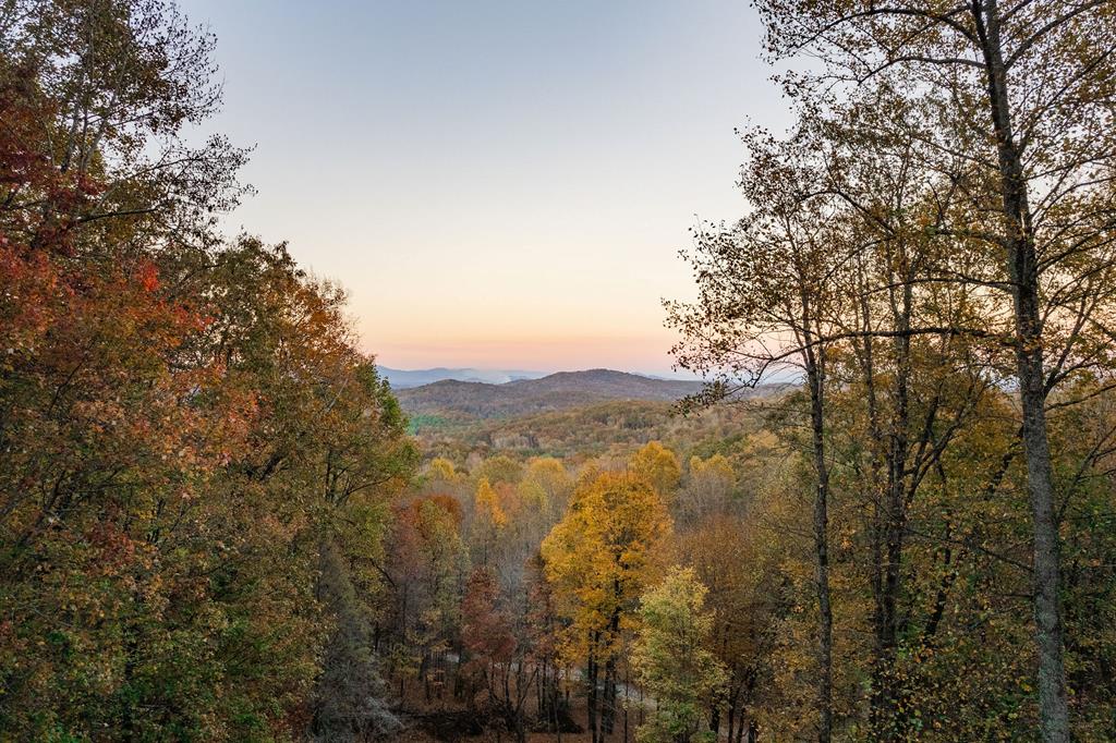 413653 Blue Ridge Residential