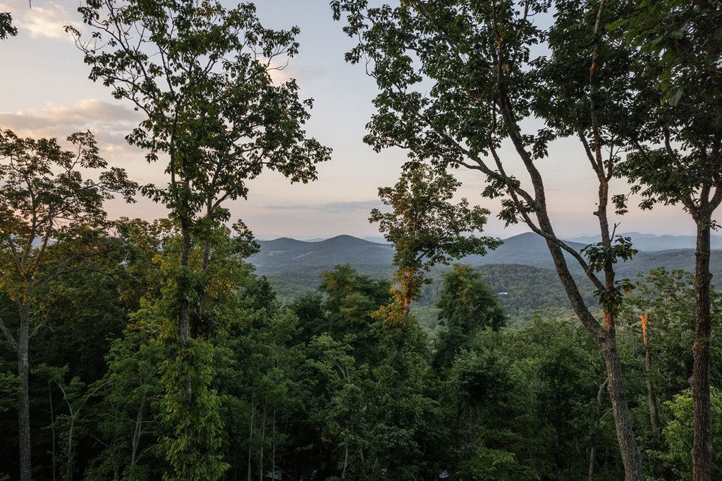 413656 Morganton Residential