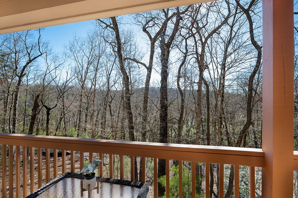 413683 Ellijay Residential