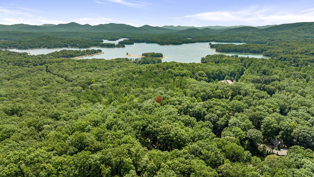 413687 Blue Ridge Residential