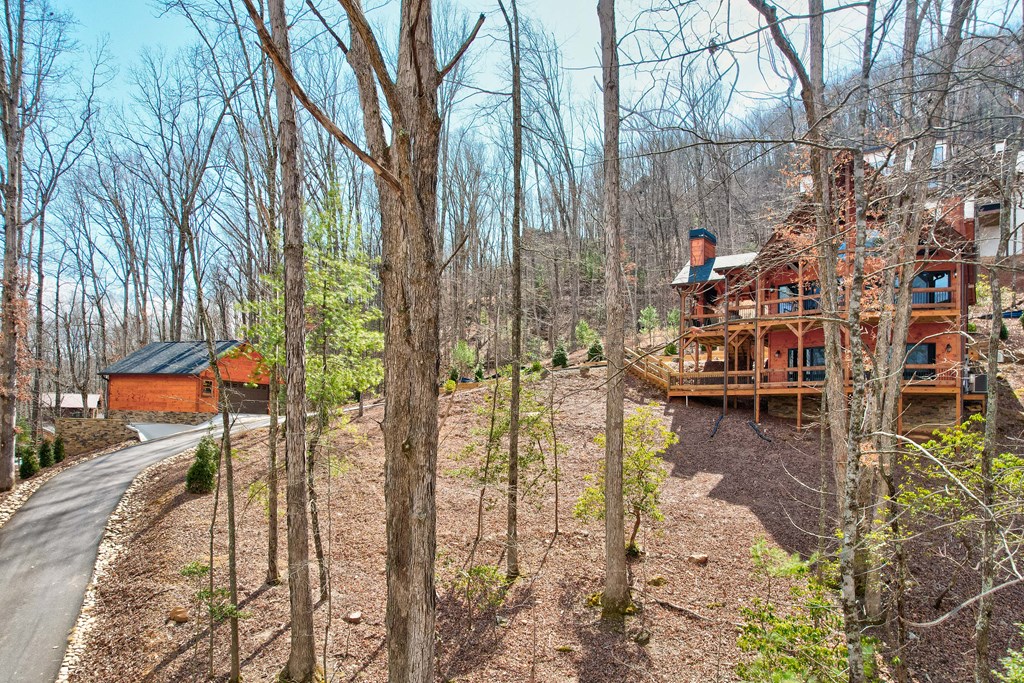 413768 Blue Ridge Residential
