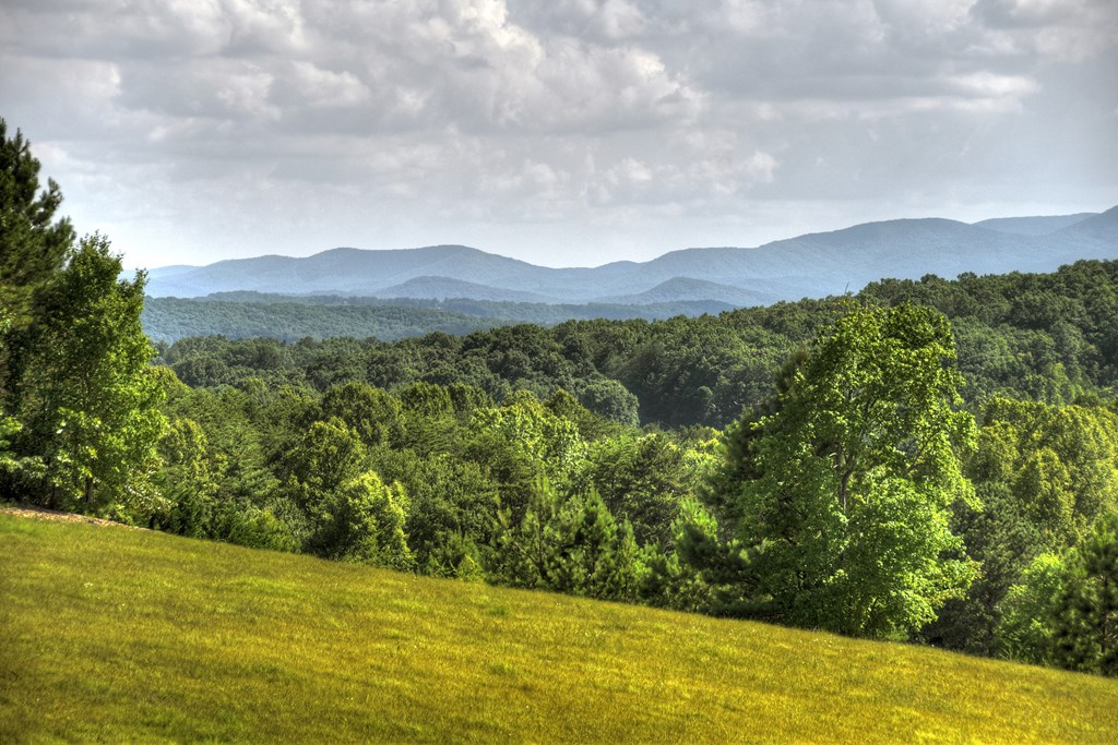 413835 Morganton Residential
