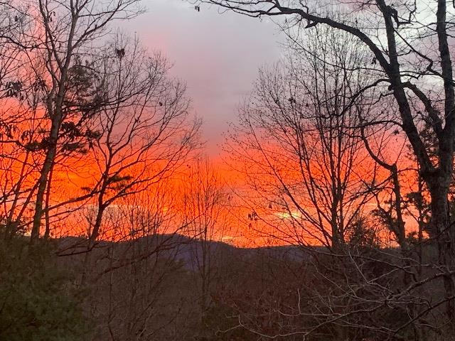 413979 Ellijay Residential