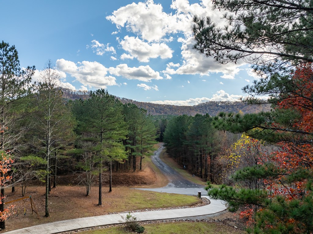 414020 Ellijay Residential