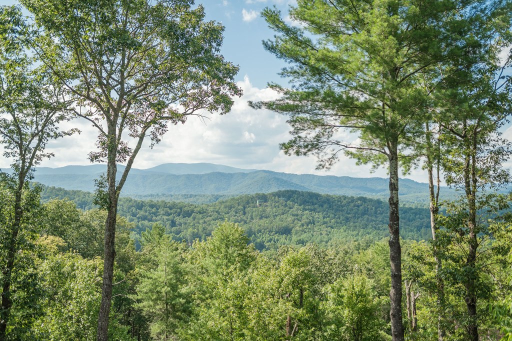 414074 Blue Ridge Residential