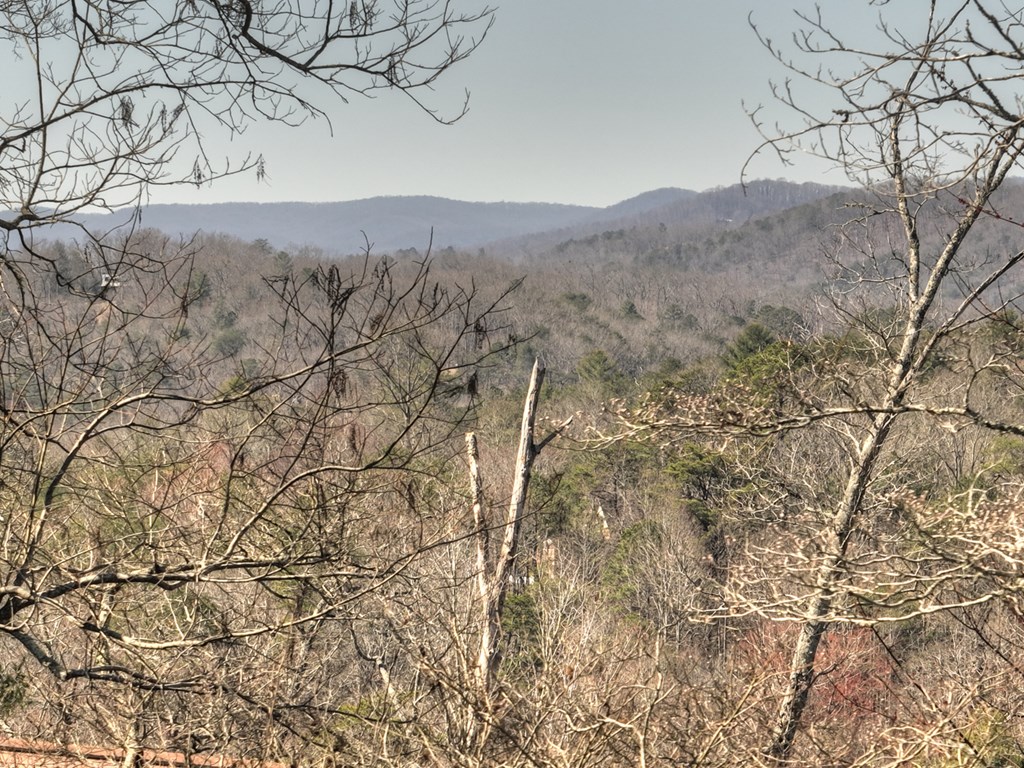414293 Blue Ridge Residential
