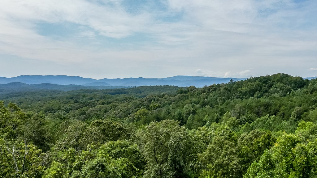 414396 Mineral Bluff Residential