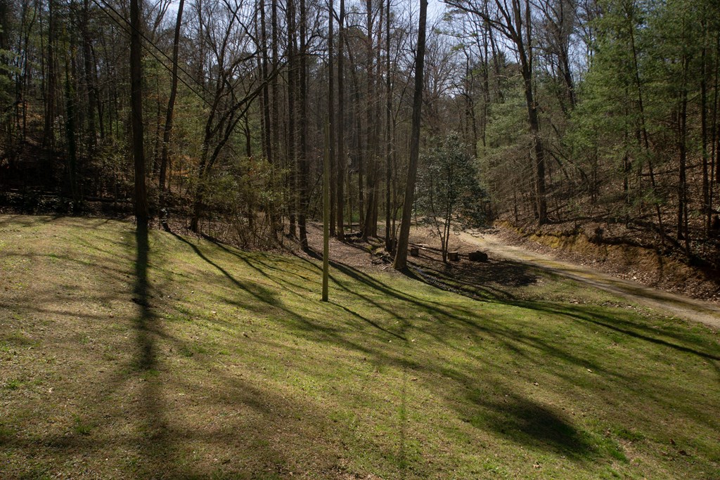 414454 Ellijay Residential