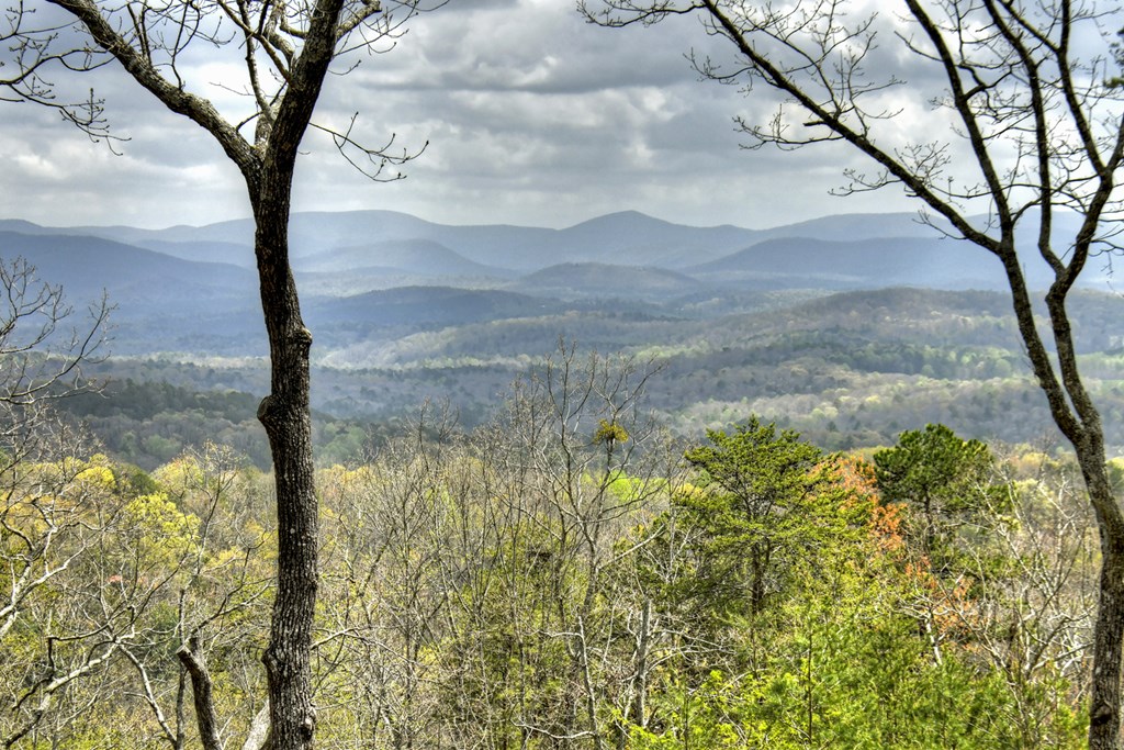 414572 Ellijay Residential