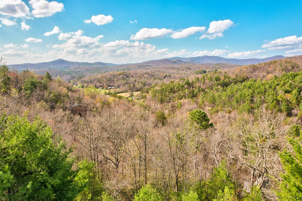 414600 Mineral Bluff Residential