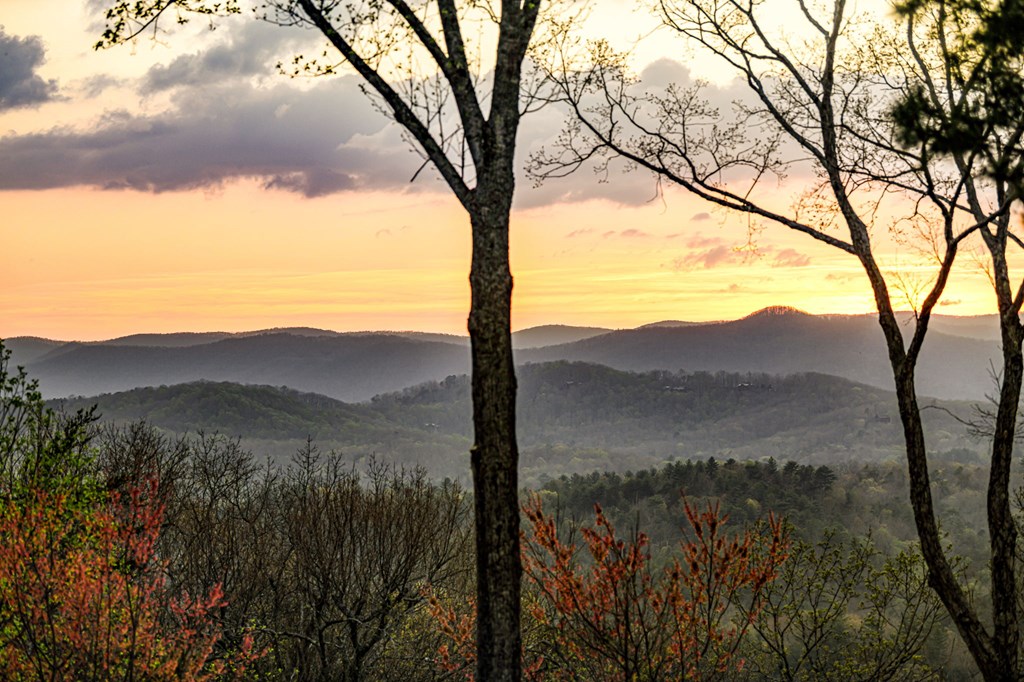 414630 Blue Ridge Residential