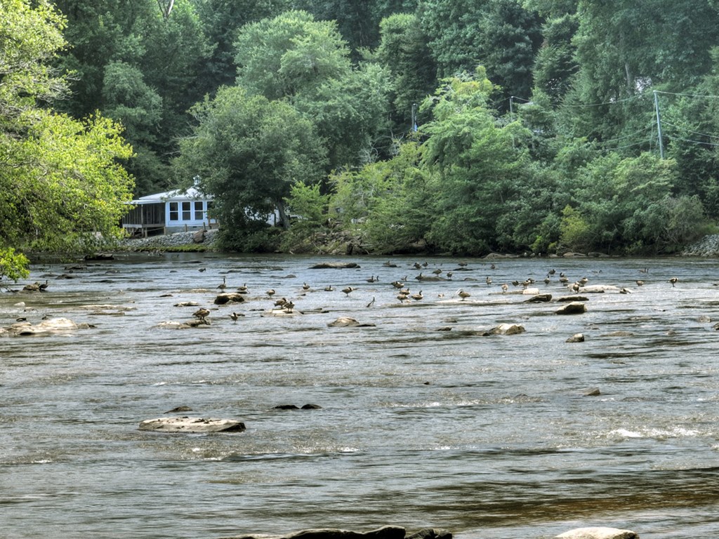 414673 Ellijay Residential
