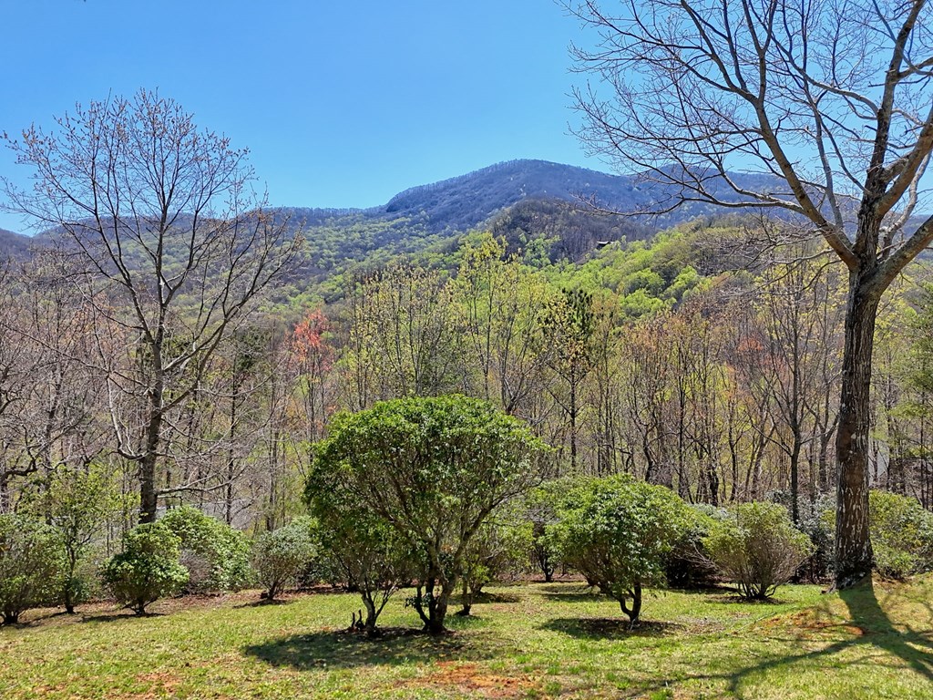 414739 Hiawassee Residential