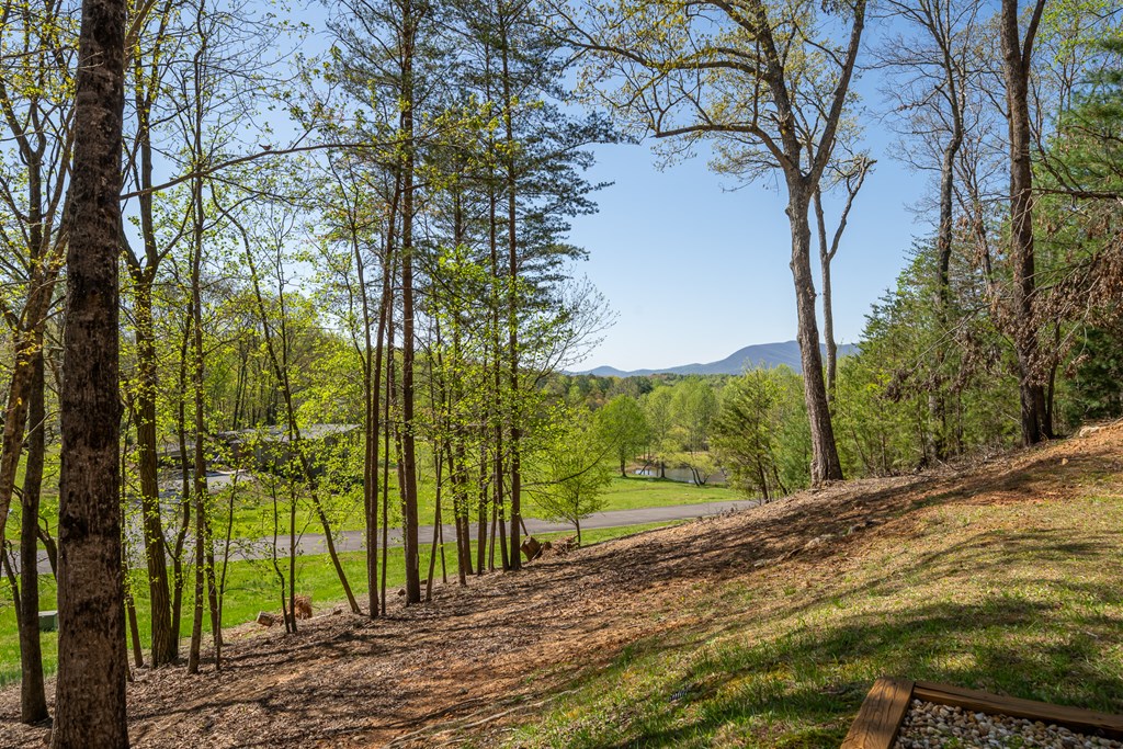 414756 Ellijay Residential