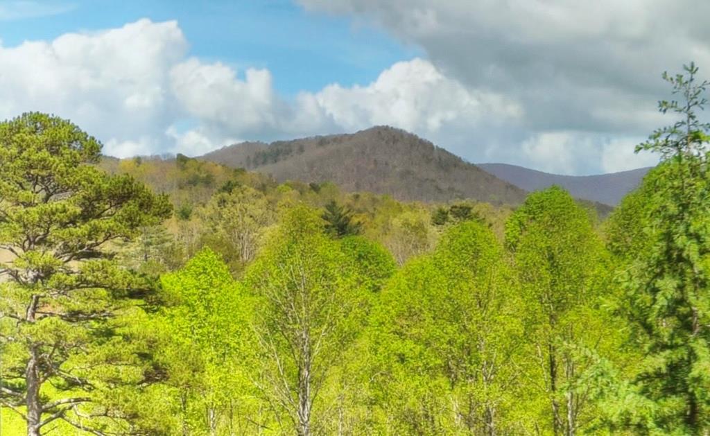 414770 Ellijay Residential