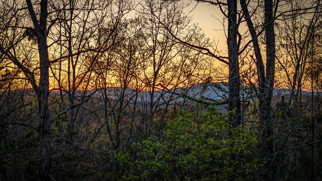 414788 Mineral Bluff Residential