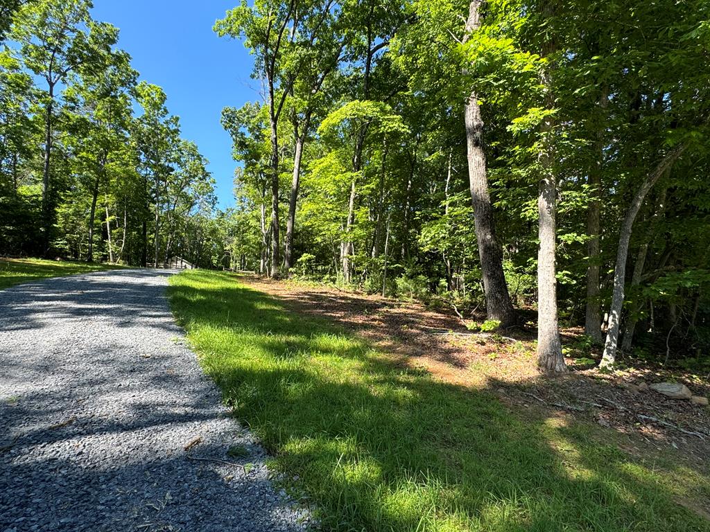 414810 Mineral Bluff Residential