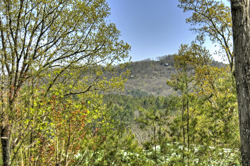414814 Mineral Bluff Residential