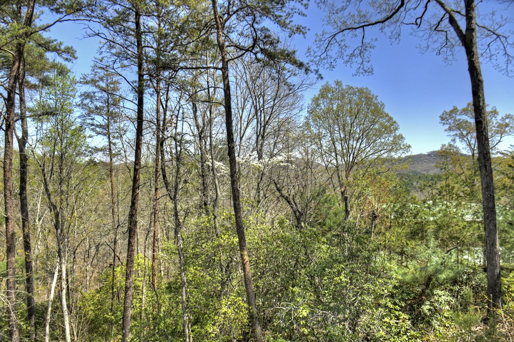 414814 Mineral Bluff Residential