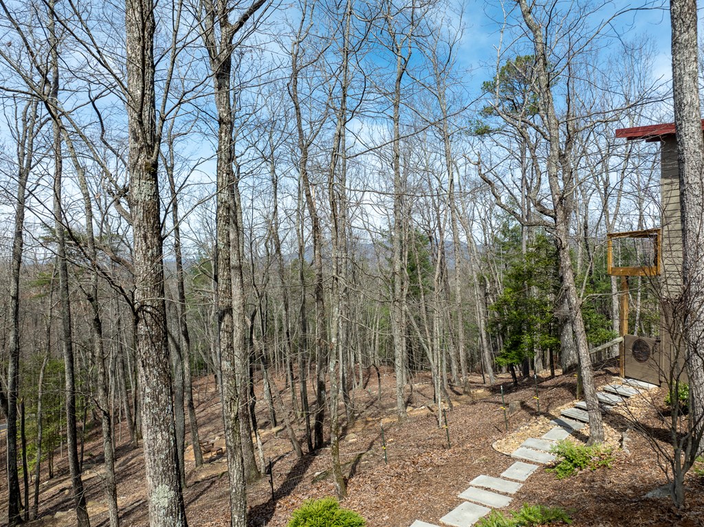 414820 Ellijay Residential