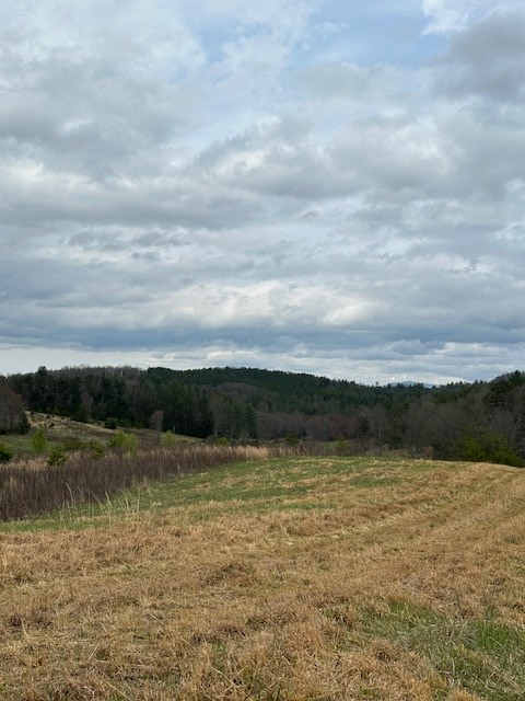 414841 Turtletown Residential