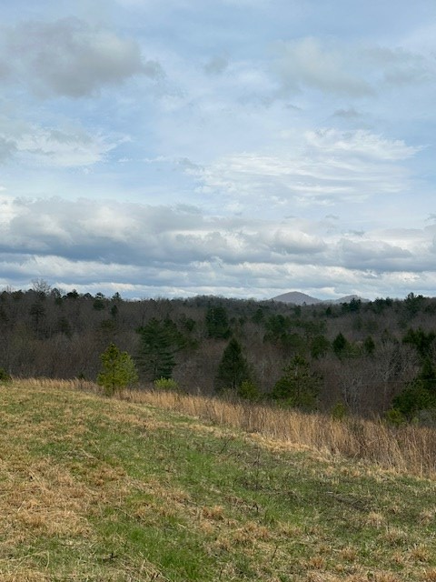 414841 Turtletown Residential