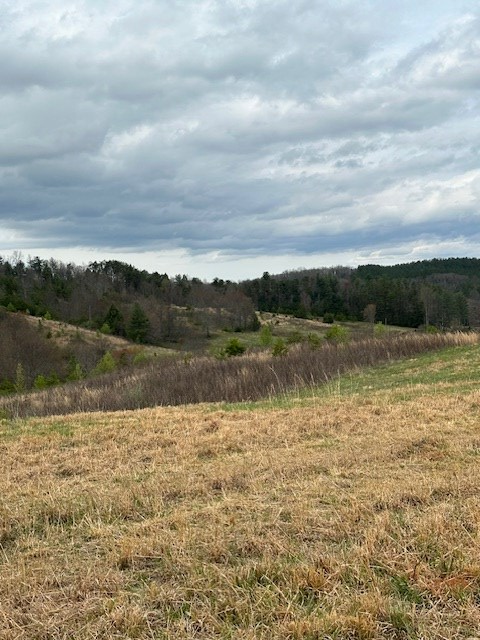 414841 Turtletown Residential
