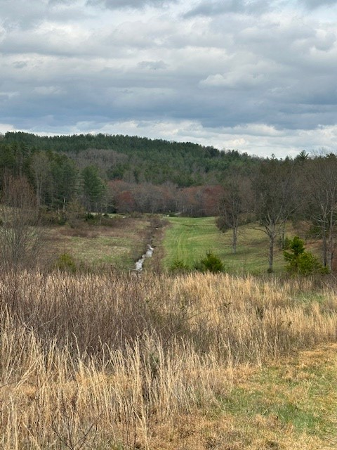 414841 Turtletown Residential