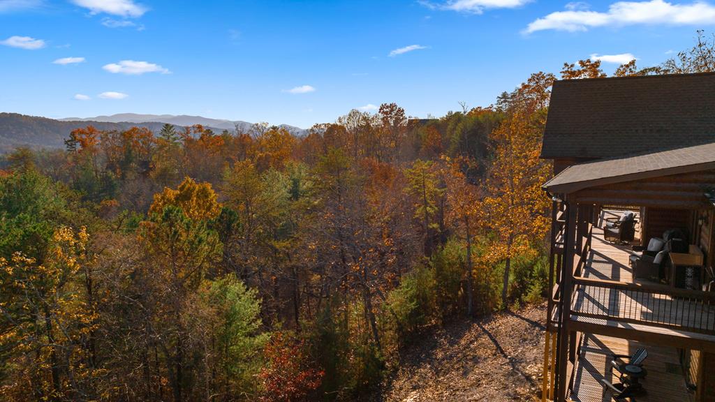 414854 Mineral Bluff Residential