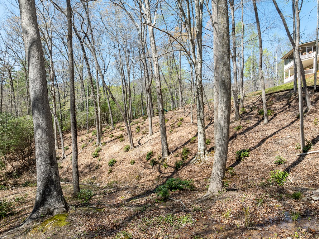 414882 Blairsville Residential