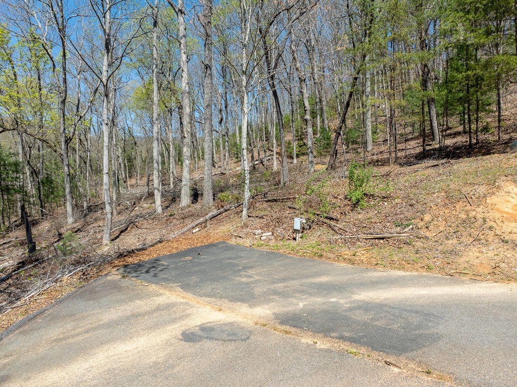 414882 Blairsville Residential