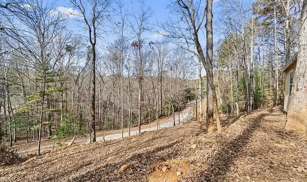 414893 Ellijay Residential