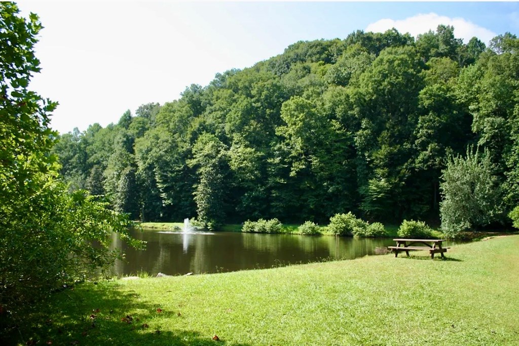 414893 Ellijay Residential