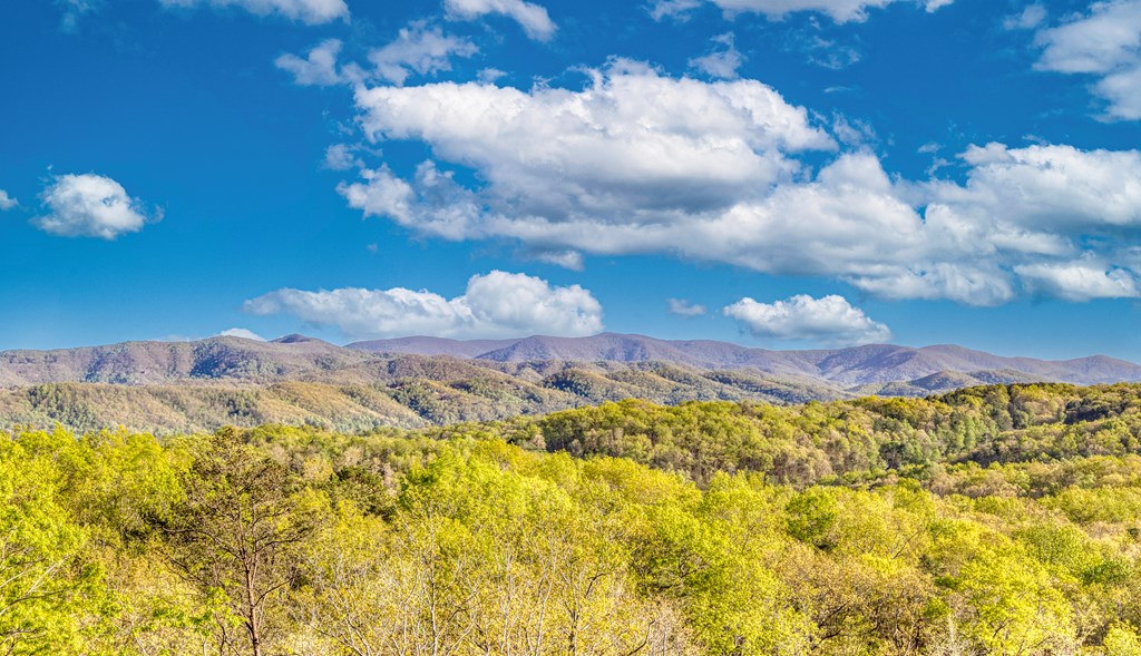 414904 Blue Ridge Residential