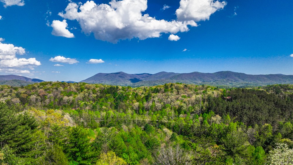 414924 Ellijay Residential