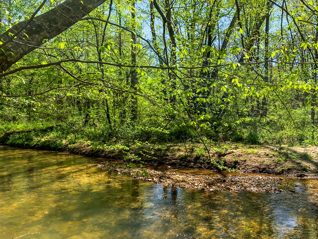 414929 Ellijay Residential